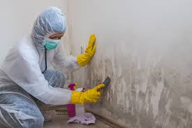 Mold Remediation for Vacation Homes in Leesburg, GA